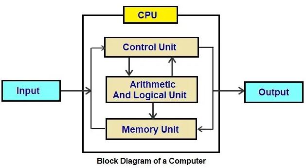 Informatics Practices Class 11 Chapter 1 NCERT Solution Computer System ...